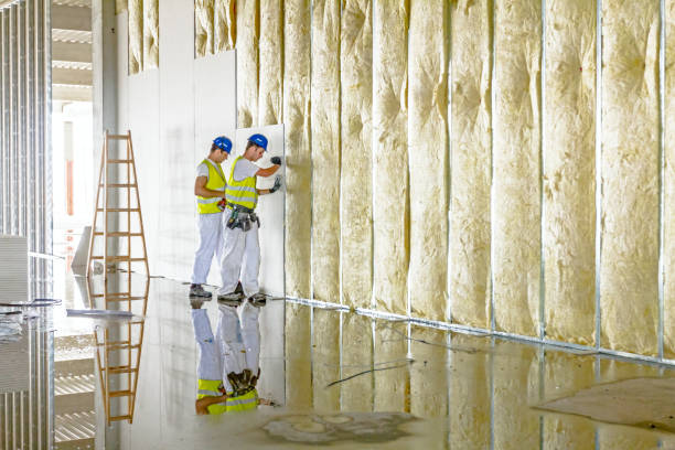 Best Eco-Friendly or Green Insulation Solutions  in Parkwood, CA